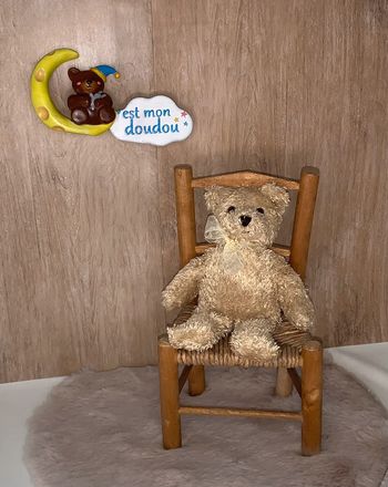 LPM23 doudou ours 🐻 les petites Marie