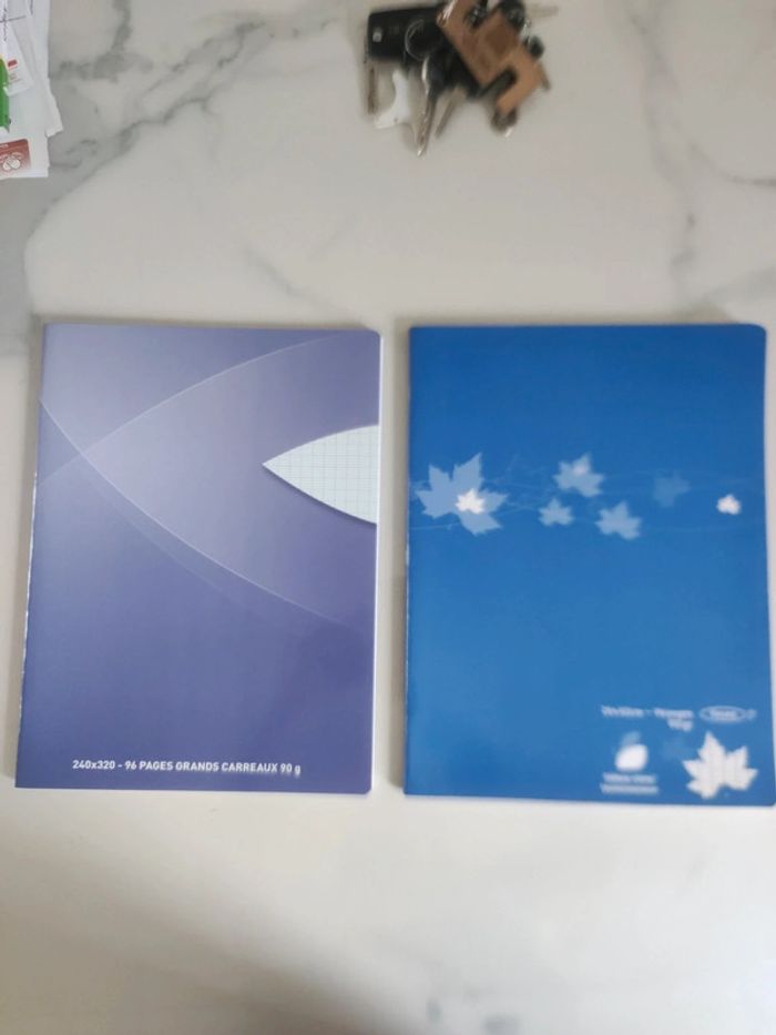 Lot de 2 cahiers - photo numéro 2