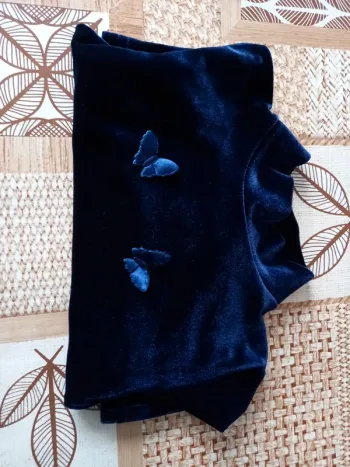 Pull de fête