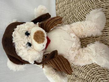 Peluche peluche ours de Berlin avec veste volante