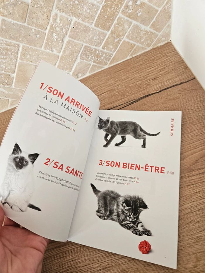 🔅 livre guide chaton - photo numéro 3