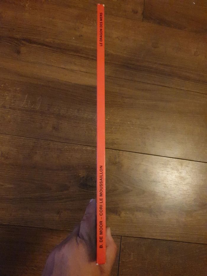 Bande dessinée L'invincible Armada - photo numéro 2