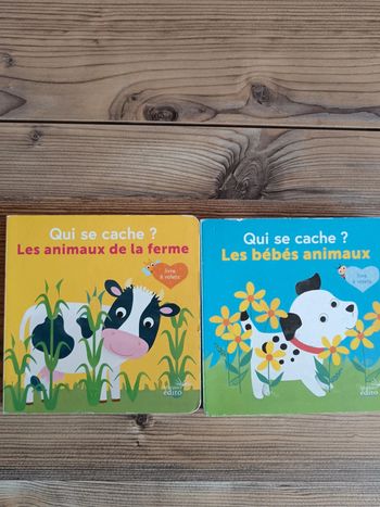 Lot 2 livre qui se cache