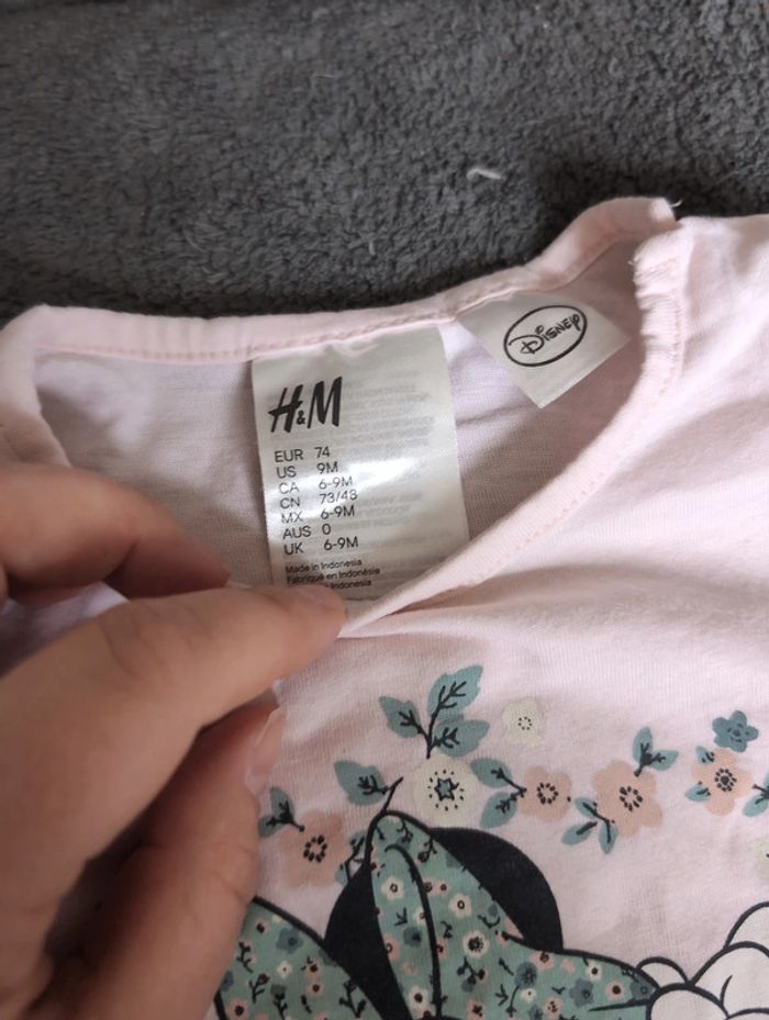 Grenouille été 9 mois - photo numéro 3