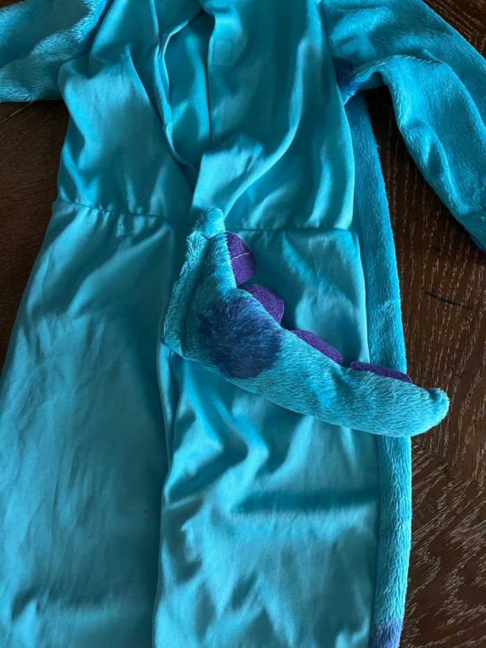 Costume de Sully - photo numéro 2