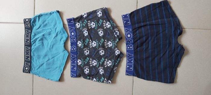 Boxer - photo numéro 5