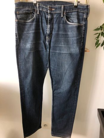 🌻Jean Levîs Strauss 508🌻