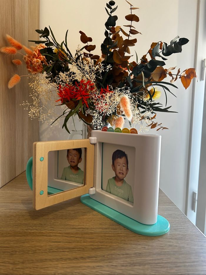 Miroir à émotions - photo numéro 3