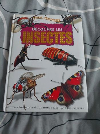 Livre sur les insectes