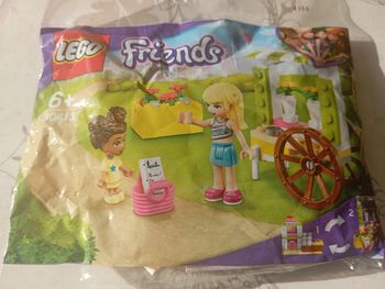 Lego Friends 30413