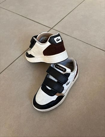 lacoste taille 26