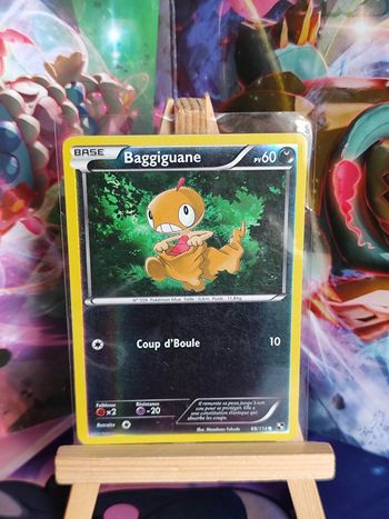 Baggiguane 68/114 noir et Blanc