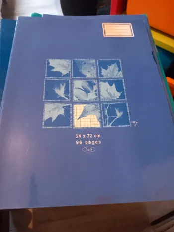 Cahier 24x32 petits carreaux 96 pages