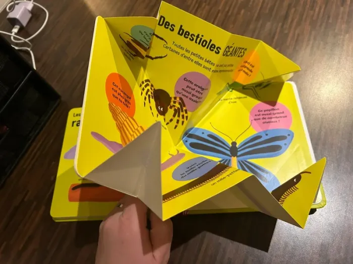 Livre Mes premières petites bêtes Patapon avec poster à déplier - photo numéro 10