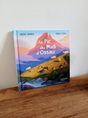 Le Pic du Midi d'Ossau Hachette