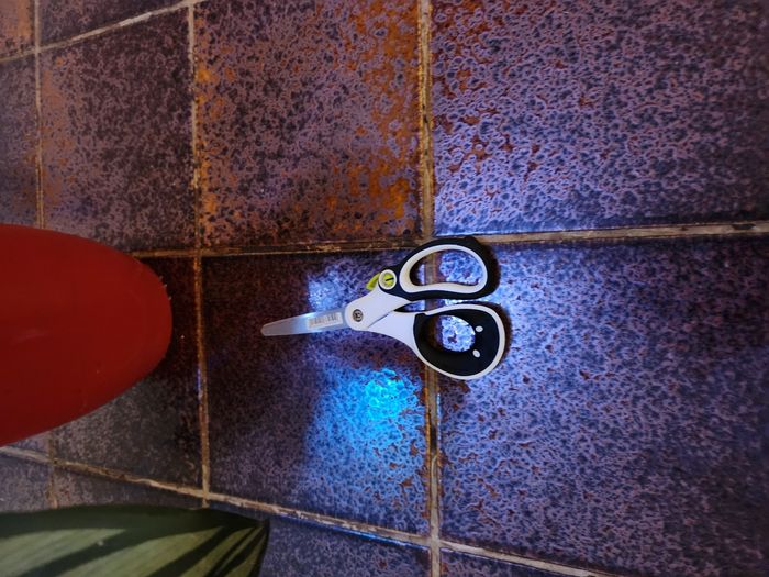 Ciseaux maped stainless