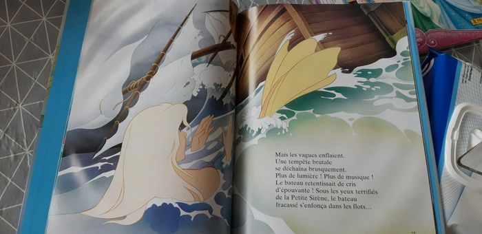 Livre grand format - photo numéro 2