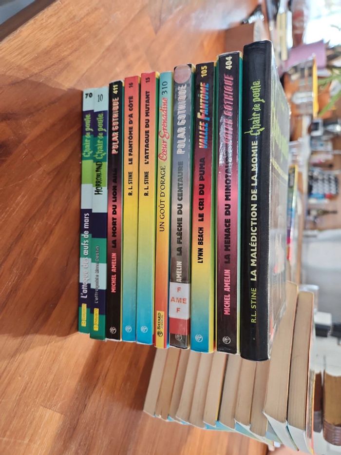 Lot de 11 livres : Bayard poche