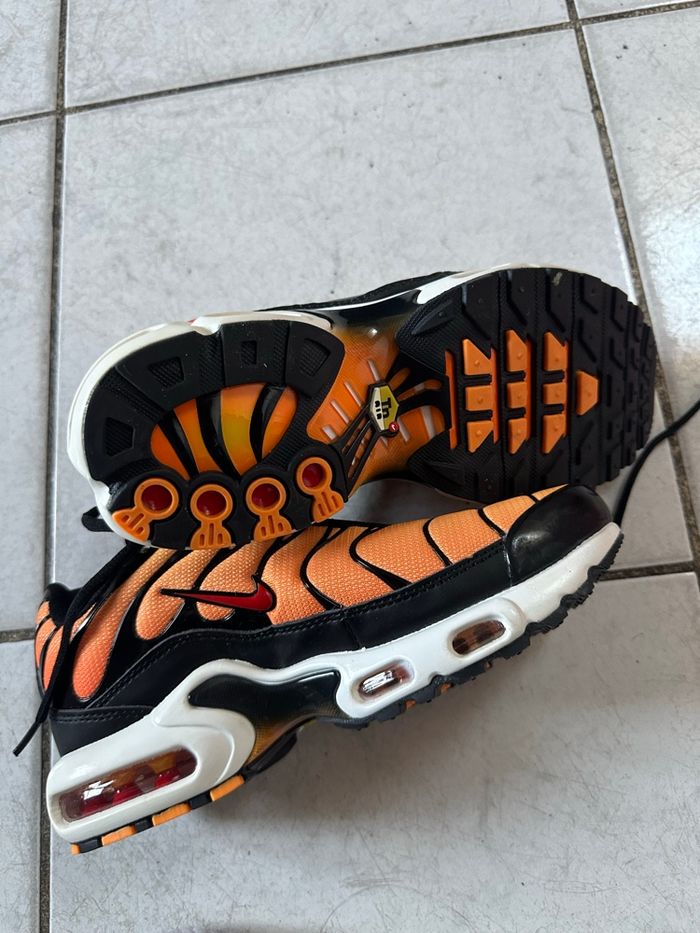 Basket tn - photo numéro 2