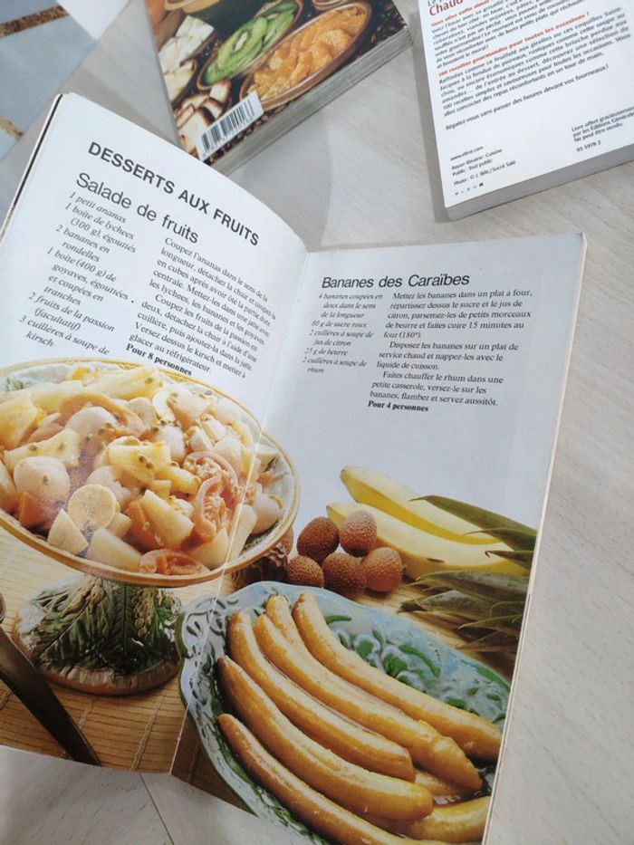 Lot 6 livres cuisine recettes pommes riz desserts fondues raclettes gratins - photo numéro 7