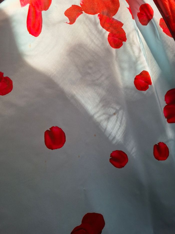Robe bustier bleue avec pétales rouges - photo numéro 8