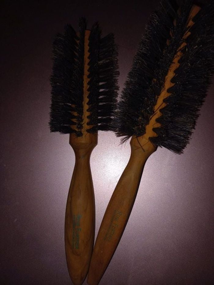 Brosses sanglier