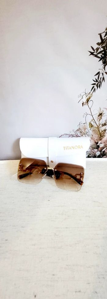 Lunettes de soleil marron style luxe avec étui Titanora