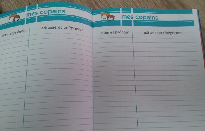 cahier de textes Les Minions - photo numéro 4