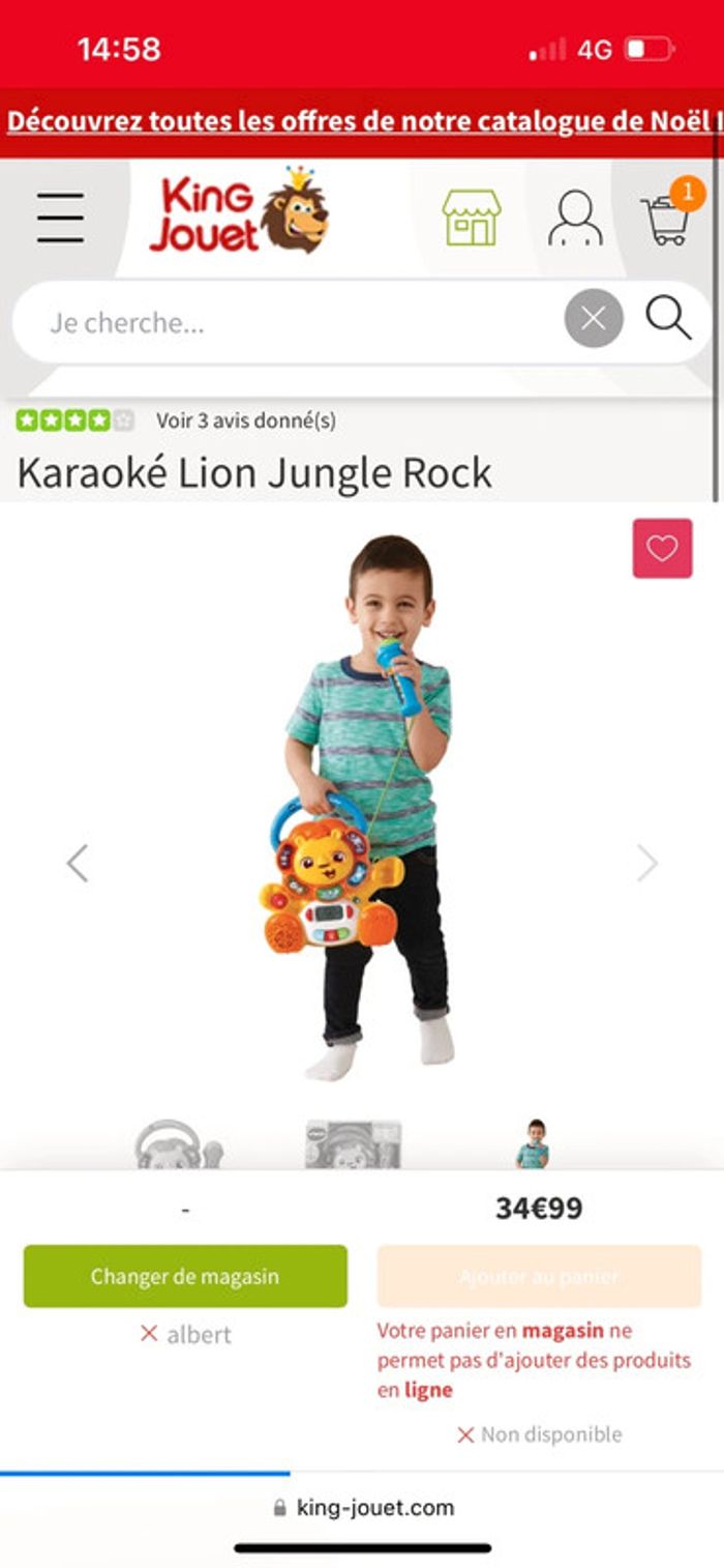 Karaoke lion jungle rock - photo numéro 5