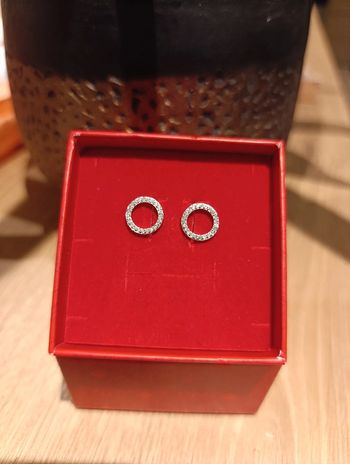 Boucle d'oreille PRISCO