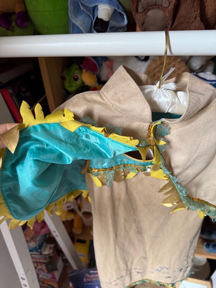 Déguisement Disney princesse Pocahontas - photo numéro 10