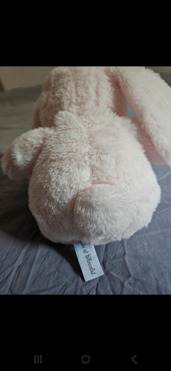 Augustin le lapin - photo numéro 3