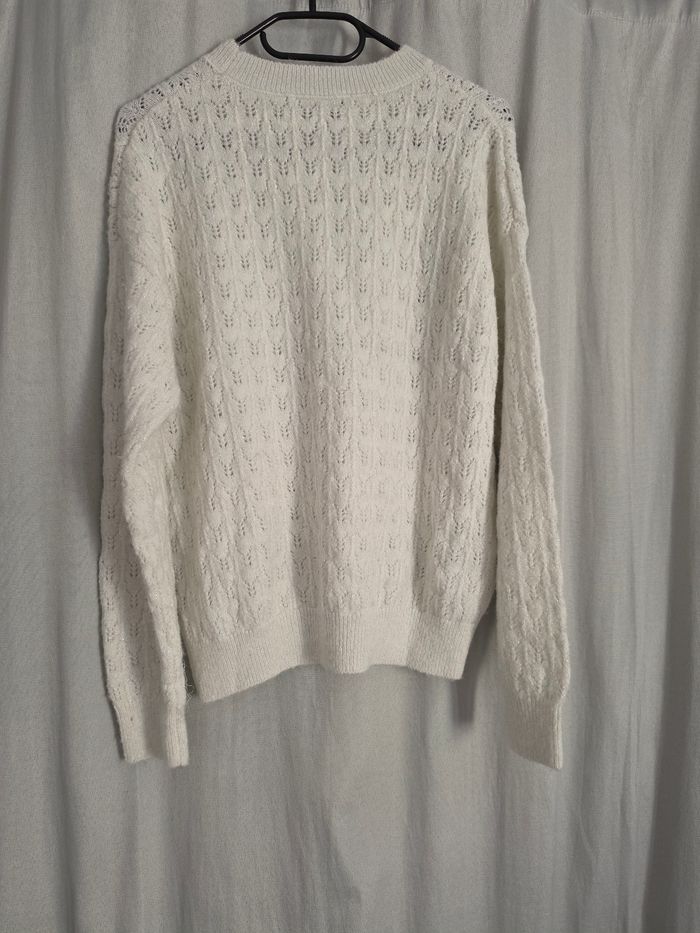 Pull mango - photo numéro 2