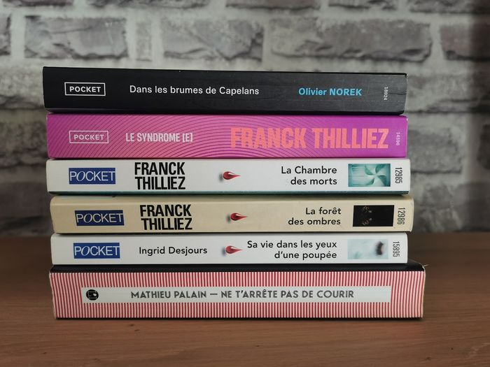 Thrillers Thilliez Norek et autres - photo numéro 4