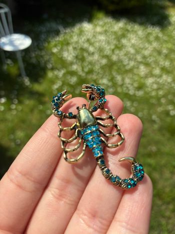 Broche scorpion