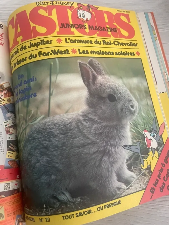 Livre ancien Castors album 4 juniors magazine 1978 - photo numéro 11