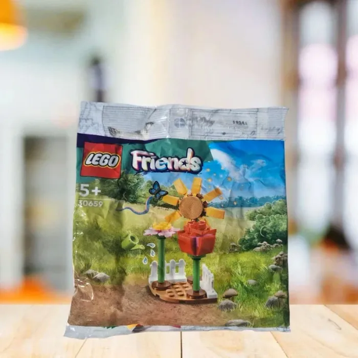 Jeu Lego Friends