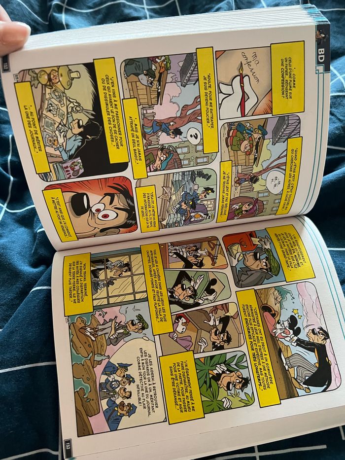 Bd Dingo - photo numéro 3