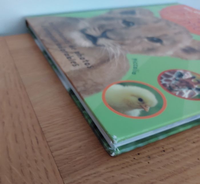 Mon grand livre des Bébés Animaux - Picolia - photo numéro 10