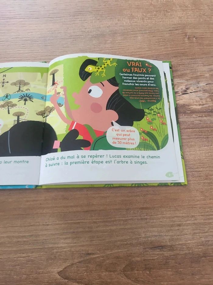 Livre Le Trésor de la jungle - photo numéro 2