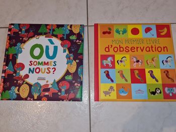 Lot 2 livres