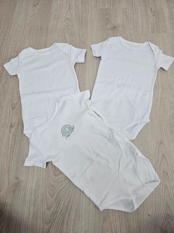 Lot de bodies mixtes 36 mois