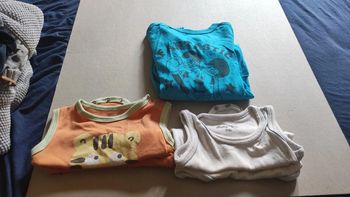 Lot bodies manches courtes 9 mois