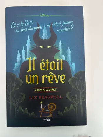 Livre de Liz Braswell - Twisted Tale - Il était un rêve - Disney