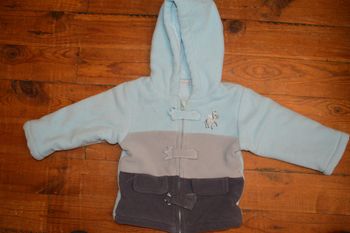 Veste polaire à capuche In Extenso 9 mois