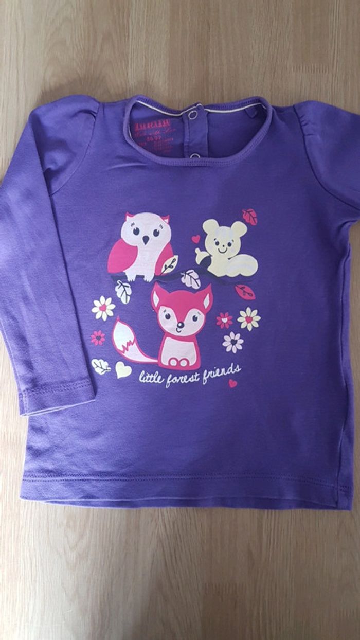 Lot de 2 t shirt chouettes et renard - photo numéro 2