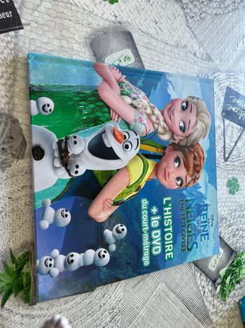Livre reine des neiges