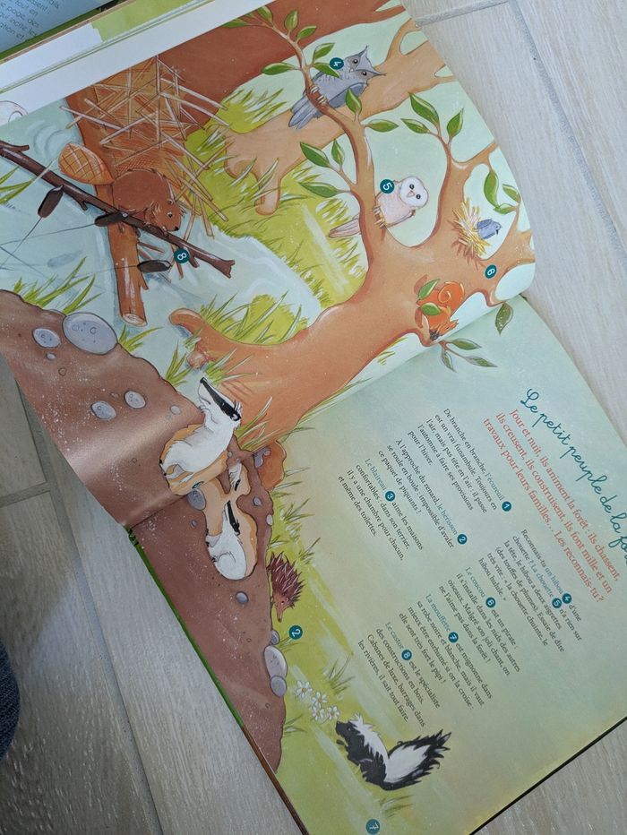Livre la forêt - photo numéro 6