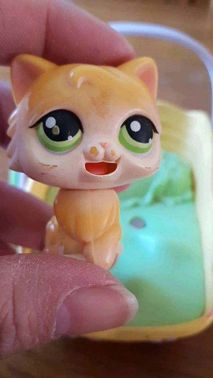 Chat petshop angora qui boit son lait - photo numéro 2