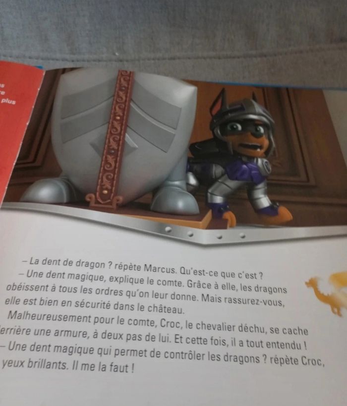 Livre pat patrouille la dent de dragon - photo numéro 5